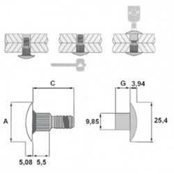 H100701C100 - TORKT.TP10 L19.05 - EX L AC/AC (QTE 100)