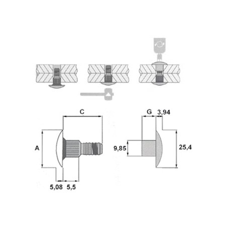 H100701C100 - TORKT.TP10 L19.05 - EX L AC/AC (QTE 100)
